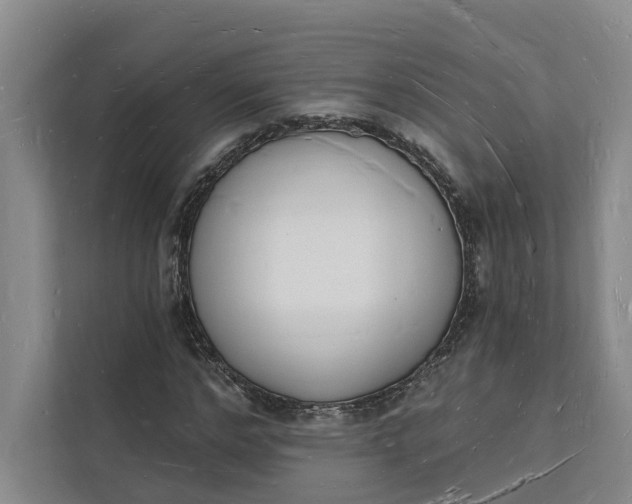 X0000112140968200908211349