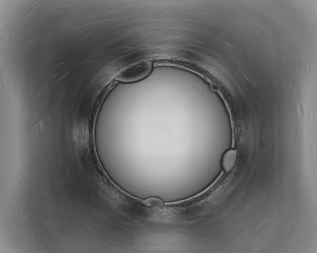 X0000112140969200908211349