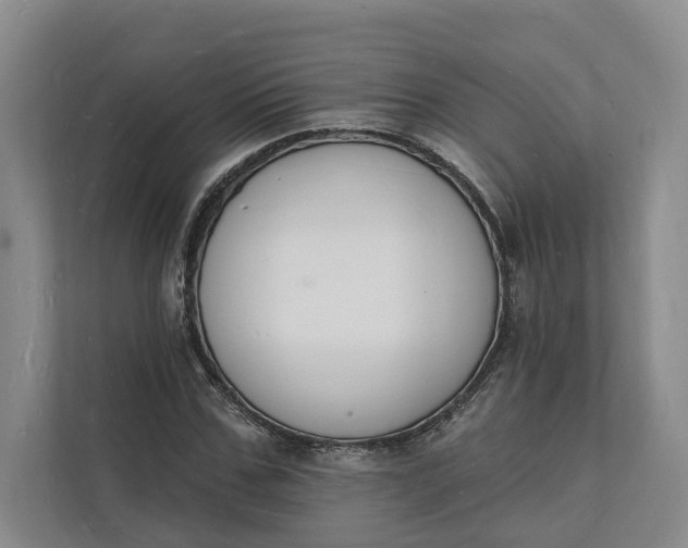 X0000112140971200908211349