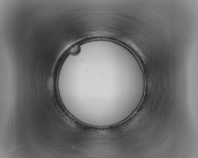 X0000112140975200908211349