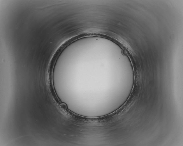 X0000112140976200908211349