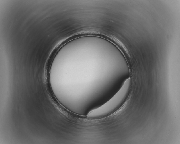 X0000112140981200908211349