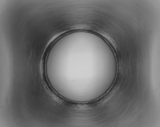 X0000112140983200908211349