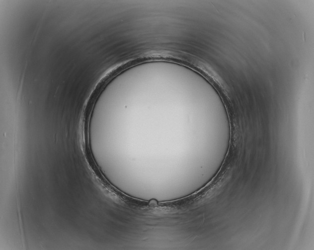 X0000112140984200908211349