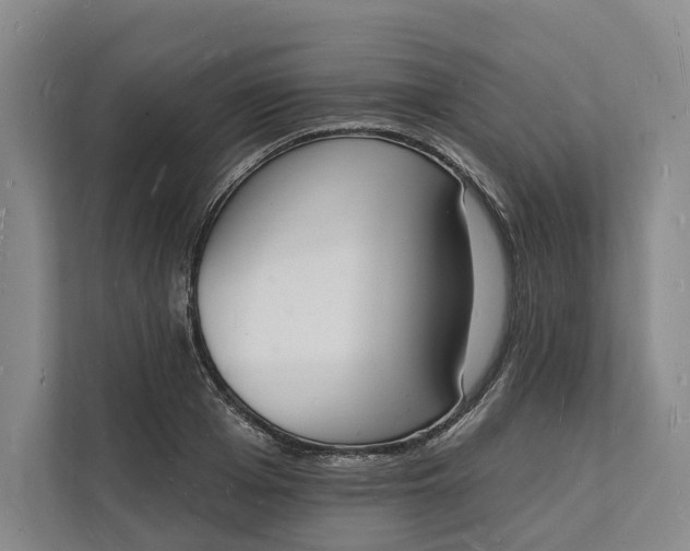 X0000112140985200908211349