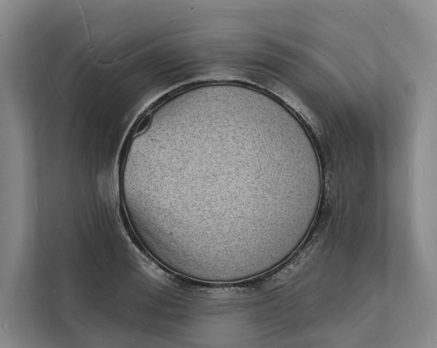 X0000112140988200908211349