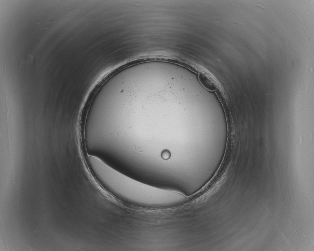 X0000112140989200908211349