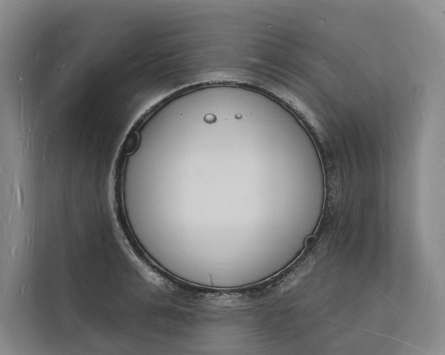 X0000112140991200908211349