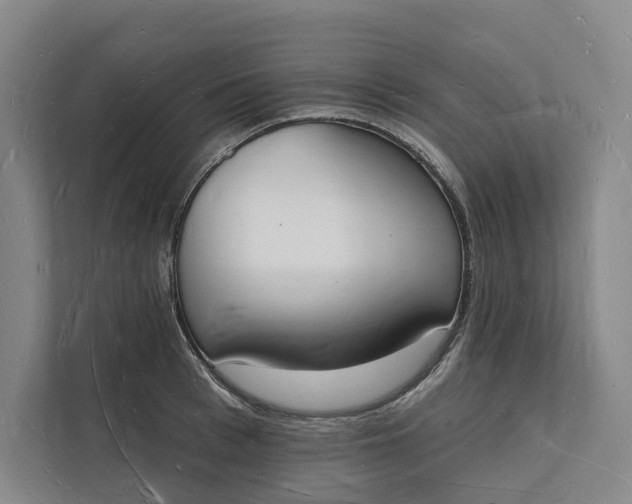 X0000112140993200908211349