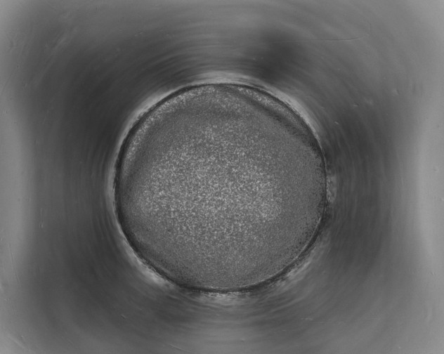 X0000112140995200908211349