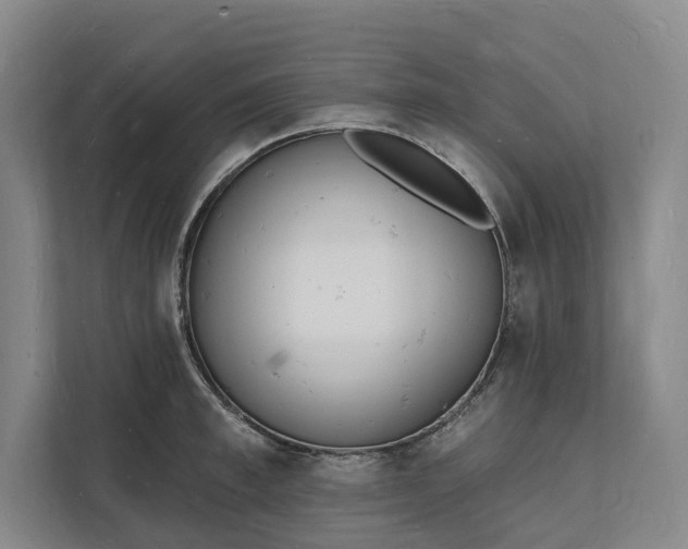 X0000112140997200908211349