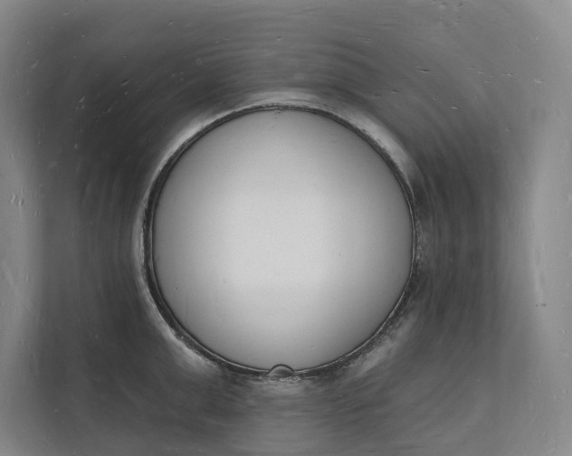 X0000112140999200908211349