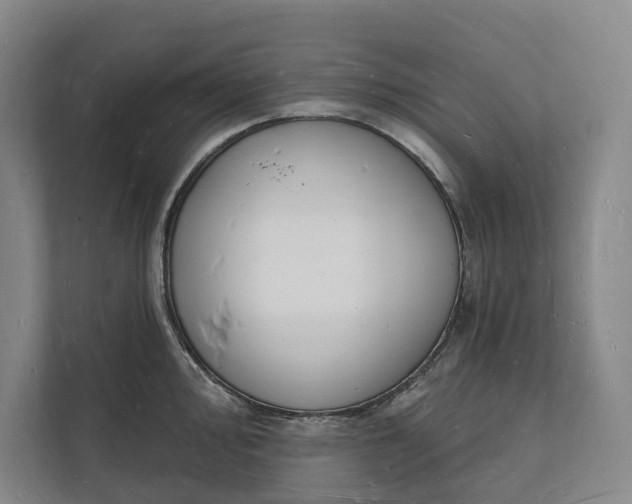 X0000112141000200908211349