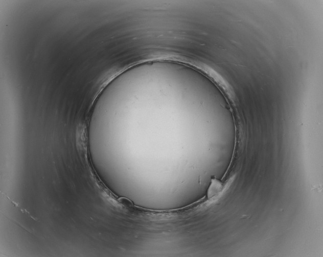 X0000112141001200908211349