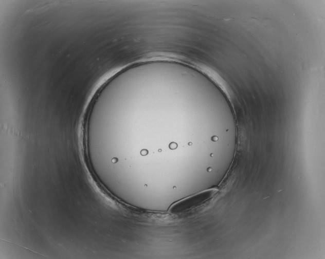 X0000112141003200908211349