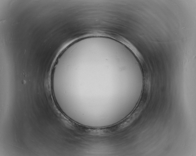 X0000112141004200908211349