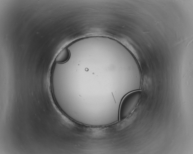 X0000112141005200908211349