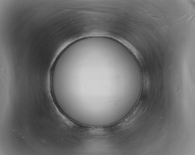 X0000112141006200908211349