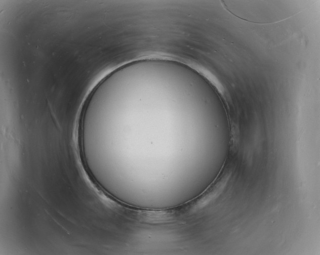 X0000112141007200908211349