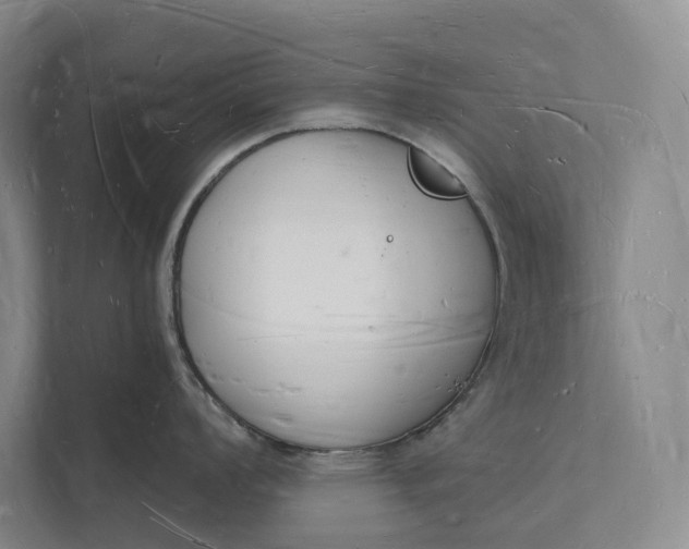 X0000112141008200908211349