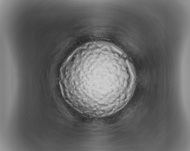 X0000112141009200908211348