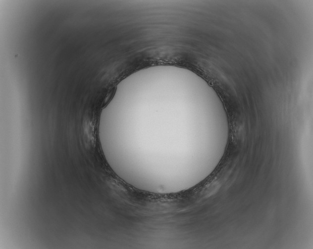 X0000112141010200908211348