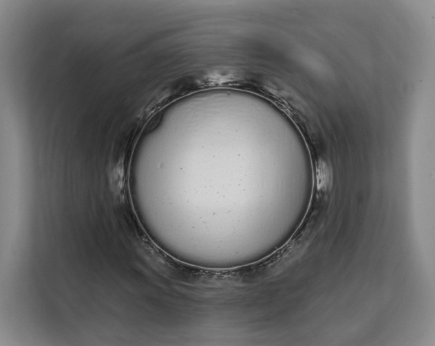 X0000112141011200908211348