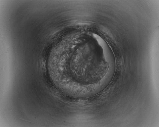 X0000112141013200908211348