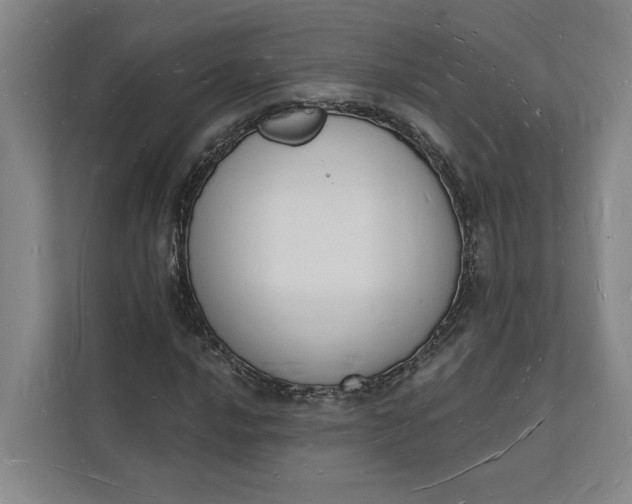 X0000112141016200908211348