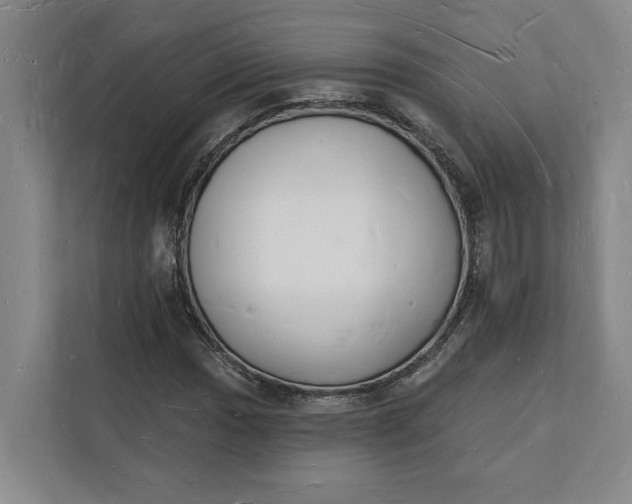 X0000112141017200908211348