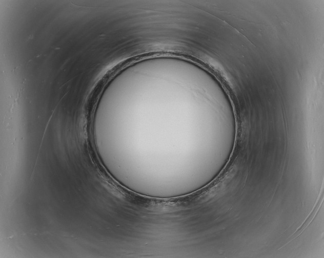 X0000112141019200908211348