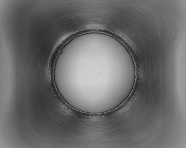 X0000112141022200908211348