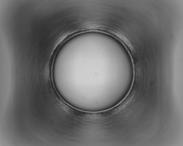 X0000112141023200908211348