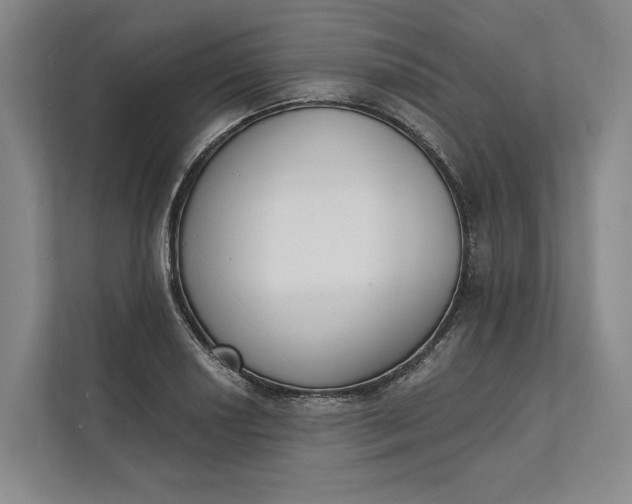 X0000112141034200908211349