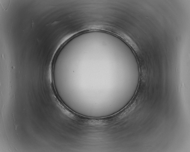 X0000112141036200908211349