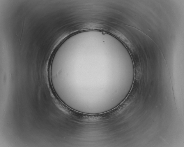 X0000112141039200908211349