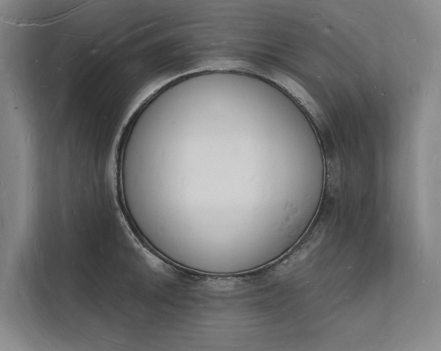 X0000112141046200908211349