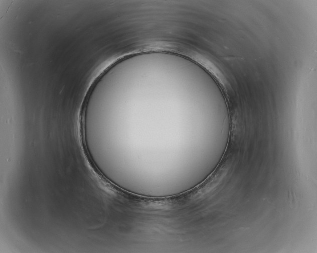 X0000112141047200908211349