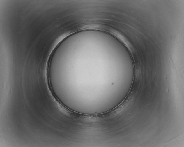 X0000112141050200908211349