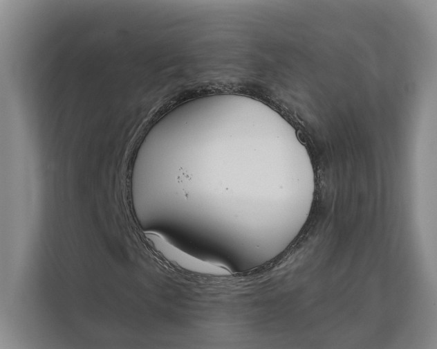 X0000112141057200908211348