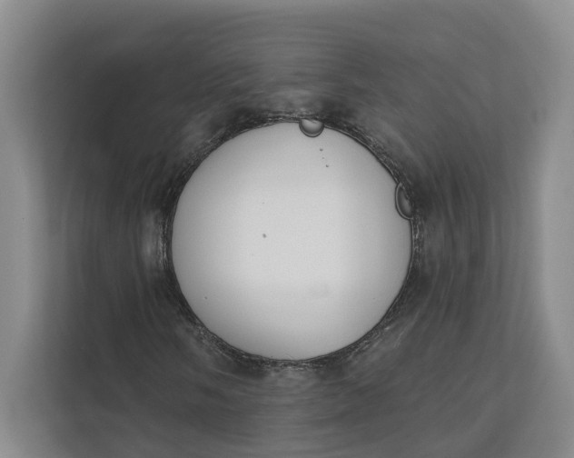 X0000112141058200908211348