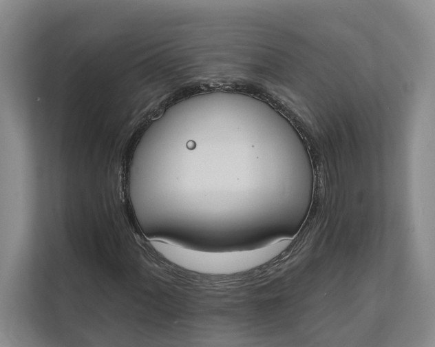 X0000112141060200908211348