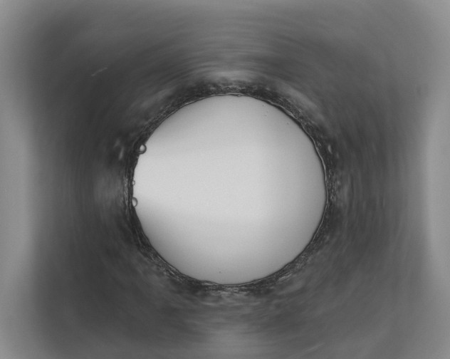 X0000112141061200908211348