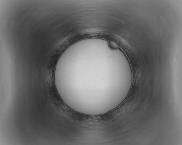 X0000112141062200908211348