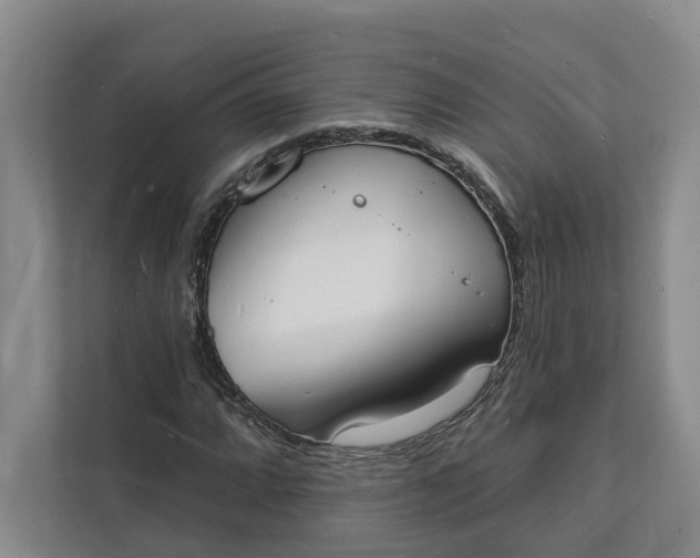 X0000112141064200908211348