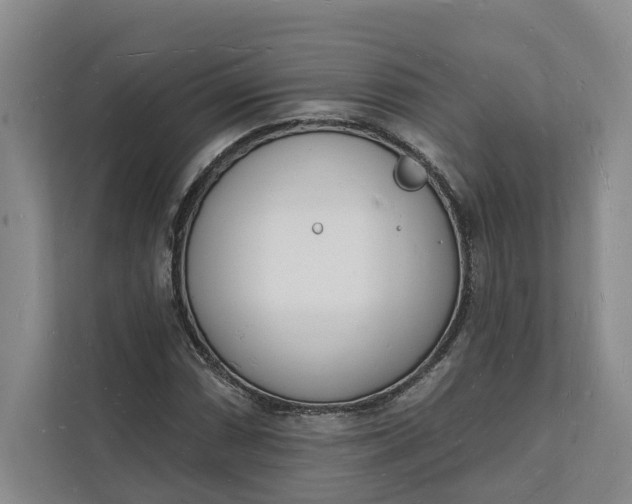 X0000112141066200908211348