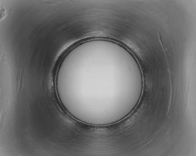 X0000112141070200908211348