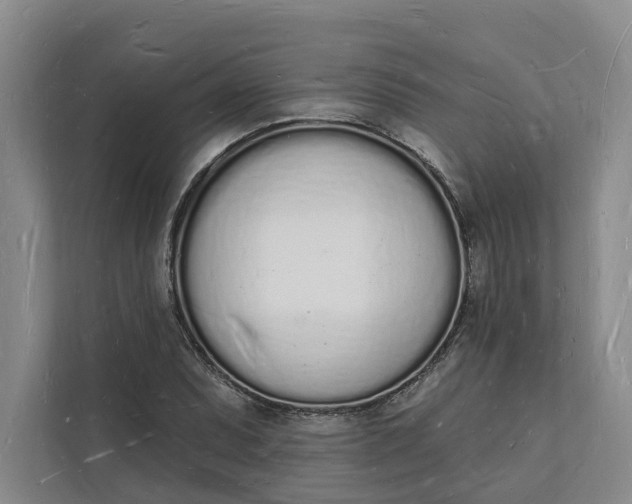 X0000112141071200908211348