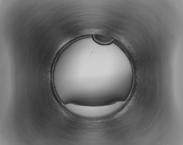 X0000112141073200908211348