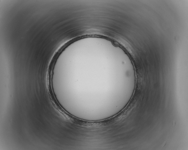 X0000112141076200908211348